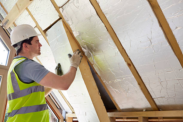 Best Insulation Removal  in Miller, SD